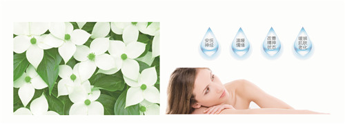 �{�׷���R���w�S������(qu��n)���z�y(c��)����ȫ�ɿ�