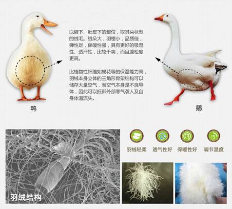 �W�ɼҼ����������u�������xُ(g��u)��Ʒ����q��