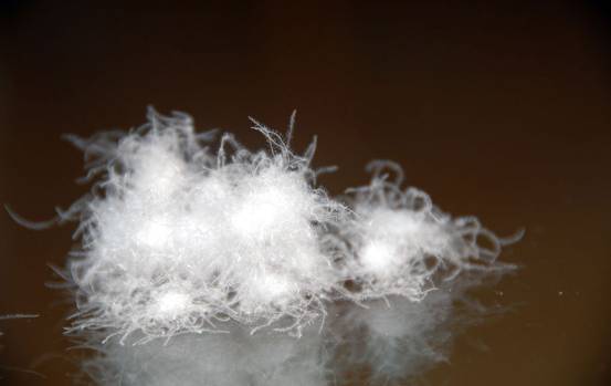 �W�ɼҼ����������u�������xُ��Ʒ����q��