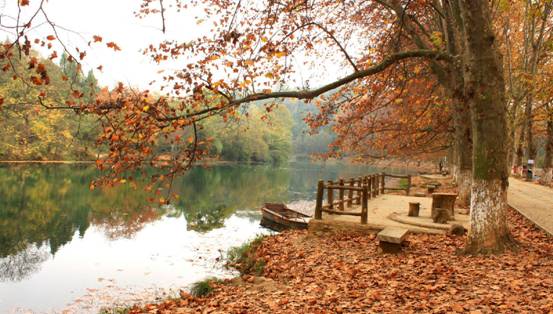 ɼɼ�Ҽ����@���������c�ゃ��һ��