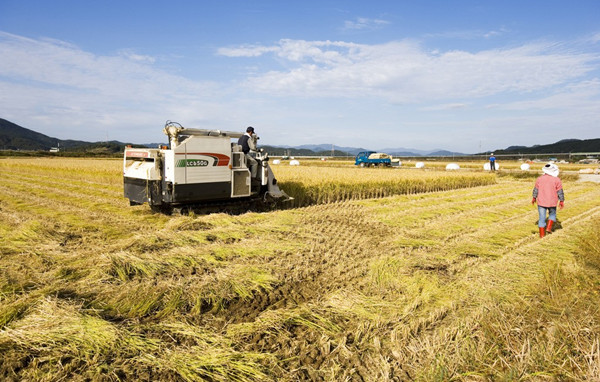 京東下鄉(xiāng)接地氣 發(fā)展農(nóng)村市場(chǎng)