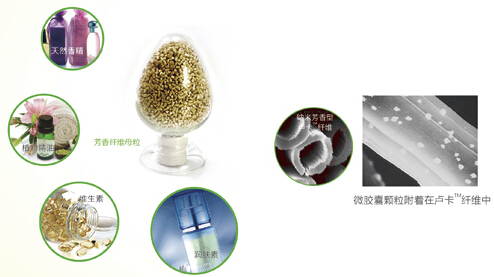 �{(l��n)Ʒ�Ƽ���õ�巼���w�S����������c�Ҽ����x