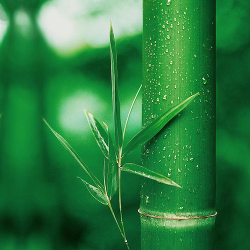 �����J(r��n)�R�h(hu��n)��ԭ�ϡ������w�S