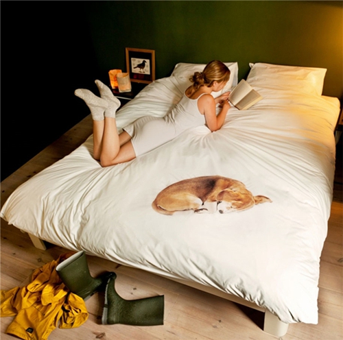 ������Ʒ��׃��(chu��ng)��׌˯�߳�M(m��n)��(l��)Ȥ