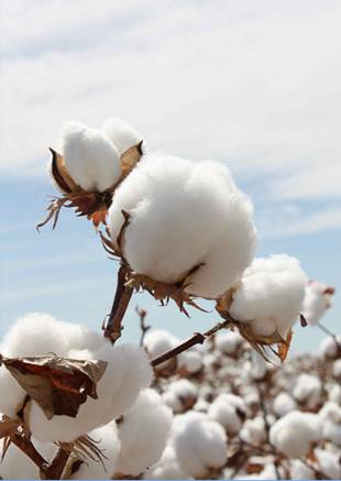 �W�ɼҼ������������ۼ���һ�ӵğ��