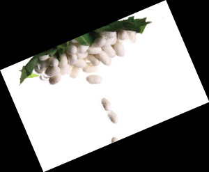 �Q�z���q�r(ji��)������]�ך���