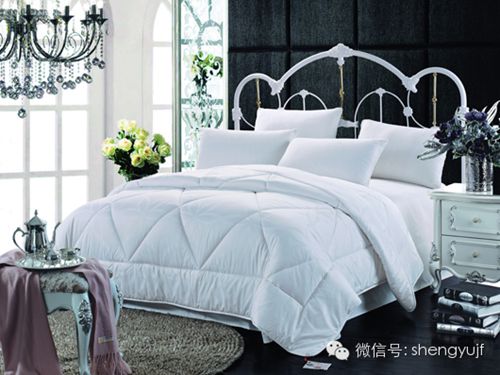 ʢ��Ҽ��ﶬ��Ʒ���������ۡ���оϵ��