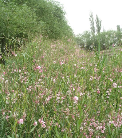 �½�һ��I(y��)�_�l(f��)��80֧�߼��_���鼆�Ҽ��ļ����ۃr11�f