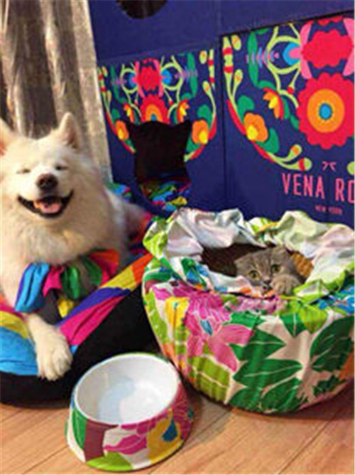 ���Ӷ�����Ψ�_�Ҽ���(d��)�ص��̘I(y��)ģʽ