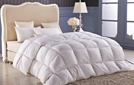 ���_�m�qĩ���u��g���ݡ����f�õĲ�Ҋ��ɢ��