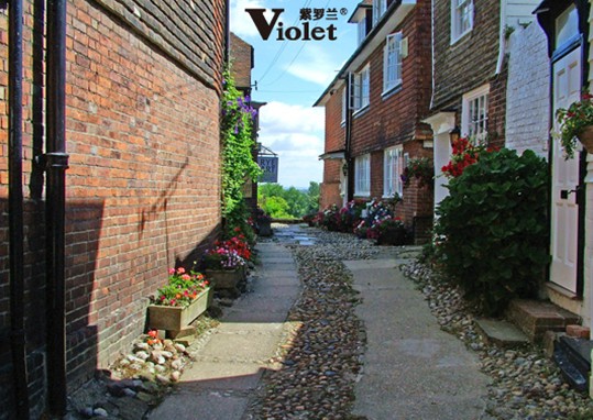 ���_�m���m�qϵ�У���(l��i)�ԚW�޵ı�ů�w�(y��n)