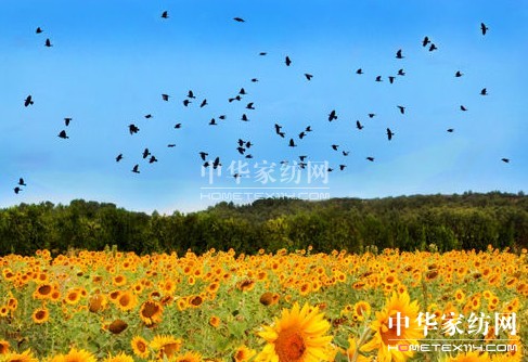 ����һ��ȥ���_��˹���s�᣿