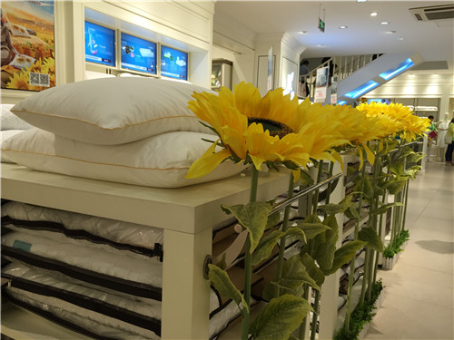 �Pʢ�Ҽ�2015���ﶬ��Ʒ�l(f��)���������_