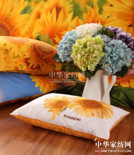 �Pʢ�Ҽ�2015�ﶬ��Ʒ����