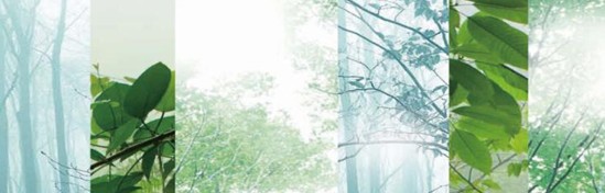 ���_�m���C(j��)�Ҽ���߀ԭ���Rԭ���B(t��i)ƽ��h(hu��n)��