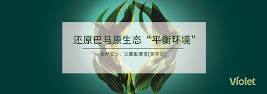 ����˯����ه��Violet���C(j��)�Ҽ�