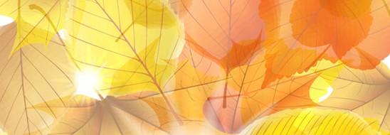 ����˯����ه��Violet���C(j��)�Ҽ�