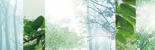 ����˯����ه��Violet���C(j��)�Ҽ�