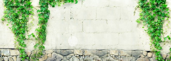 ʢ�š��ûʼҼ�2016������Ʒӆ؛���A�M���