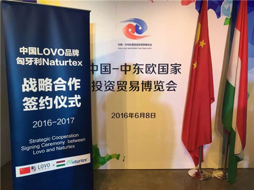 �Ж|�W���[��(hu��)����_Ļ�_�RLOVO���Ƞ�����������q��