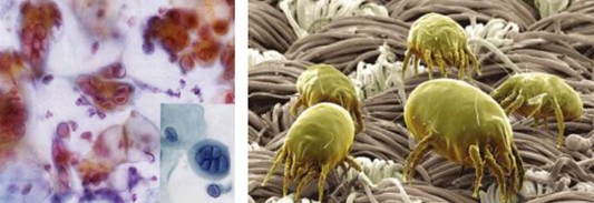 ���_�m�Ҽ�����(��i)������������(��i)��360�㝍����˯