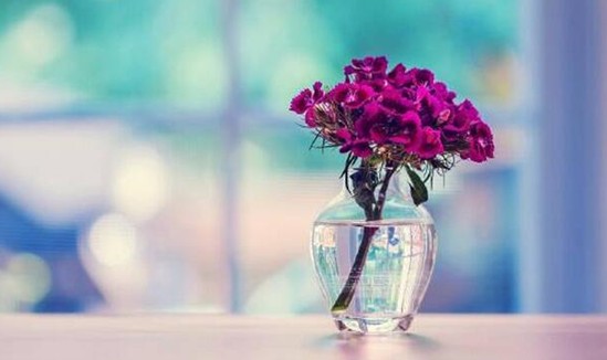 ���_�m�Ҽ�����(d��ng)����������z��˲�g�������Ử�ڻ�