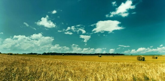 ���_�m�Ҽ���ɭ��������˯�ߡ����C���Сɭ��