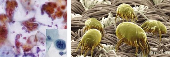 �ܽ^���f���x�����x���_�m���C(j��)�Ҽ�