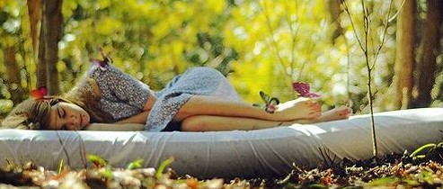 �ܽ^���f���x�����x���_�m���C(j��)�Ҽ�