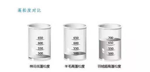 ���t���Ҽ���о��(ji��)�����m��������һ�l��q���_(k��i)ʼ