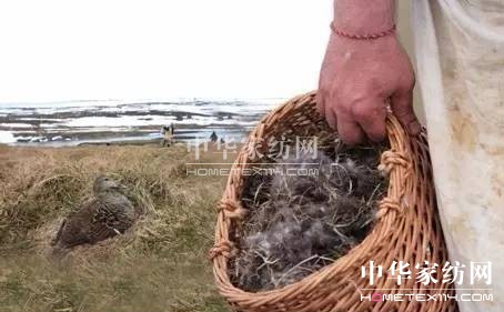 ������27�f�I�²���Ҽ�"����"��"����"��