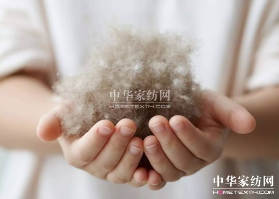 ������27�f�I�²���Ҽ�"����"��"����"��