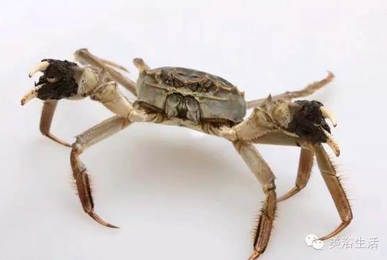 ��ԡ����Â���Ĵ��lз��з�S��ʳ��зȯ������з��������ë����