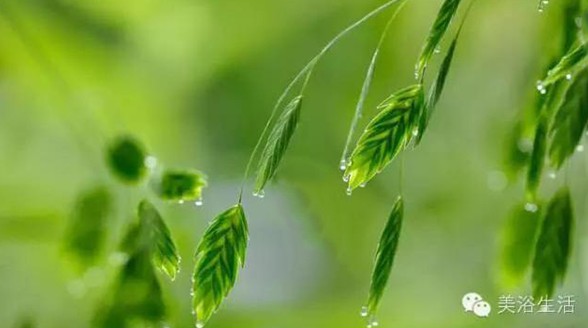 ��ԡ���Փһ�lë�����������B(y��ng)��