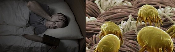 ���z�R�����_�����B(t��i)���ܼҾ�4.0�r��