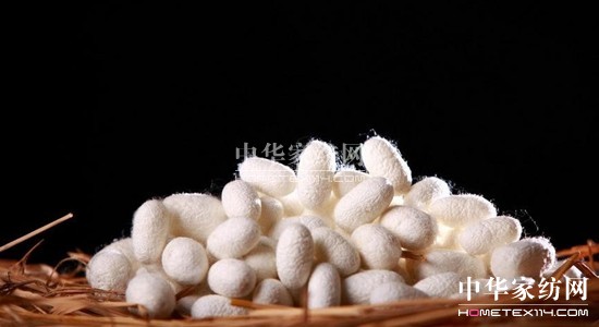 ���z�R�����_�����B(t��i)���ܼҾ�4.0�r��