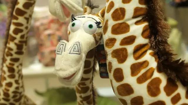 �L�Һ�ꖵĄPʢ�Ҿ������^�µ��_�I(y��)���Ȳ�������ȥ��