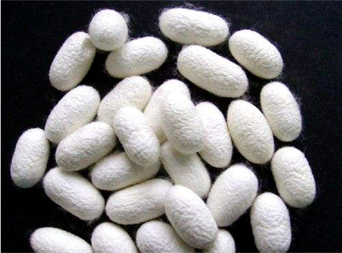 ͬ���ǽz�����W�_���{ʲô���f�������R����