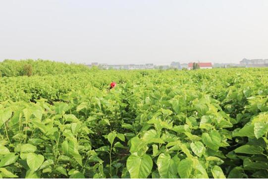 �X�ʽz�I�@��2017�Ї��Ҽ��Ӽ��\��Ʒ�ƪ������I(y��)��(n��i)������ϵ�y(t��ng)�x���ЌmԷ�Q�z��