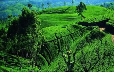 �����ͯ������Ȼ���z��׌˯�߻ؚw���|(zh��)