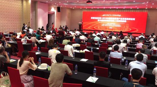 ��Ӣ���I(l��ng)�a(ch��n)�I(y��)  ��(chu��ng)���(q��)�Ӄrֵ�����h˹�˶�����•2018�Ї��Ҽ��ҾӮa(ch��n)�I(y��)�l(f��)չ�߷�Փ��