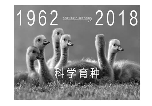 ����Ҽ����m�����q���¾��p�����