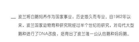 ����Ҽ����m�����q���¾��p�����