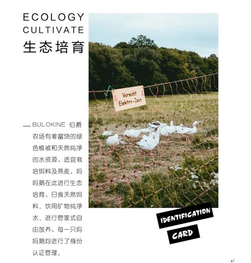 ����Ҽ����m�����q���¾��p�����