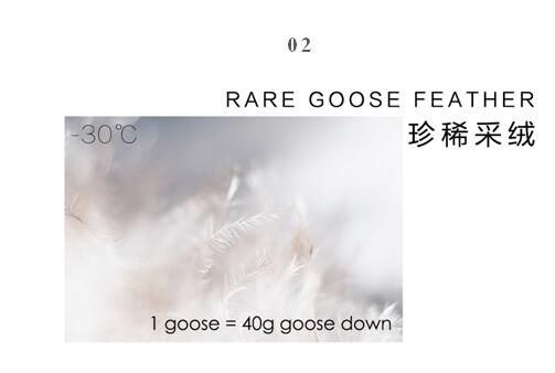 ����Ҽ����m�����q���¾��p��������