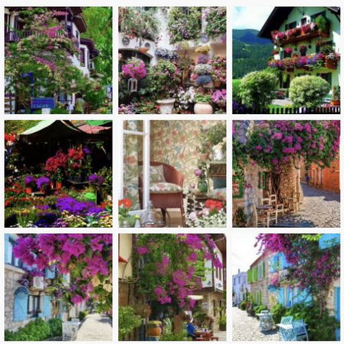 С�[�T��������D(zhu��n)����Ȧ�����cҪ�󲻿�����������ƽ