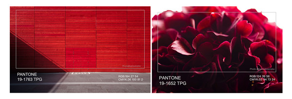 �Ї�����ɫ�f(xi��)���l(f��)�������Ҿ�����ɫ������ɫ������t