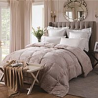 �����ӡ��ɫ���Z�q���ﱻ