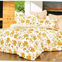 С�~���㣨С����