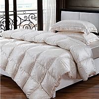 ���鲨�m�Z�q��